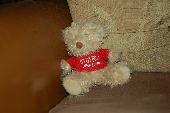 Teddy has been sitting on a fence in the wind and rain waiting for his owner to