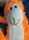 My daughter has lost her favourite Oramge monkey! She is pretty heart broken, it