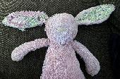 Bunbun! We’ve lost you at the airport and miss you, please if anyone finds the l