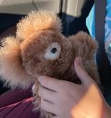 Well loved alpaca fur bear, missing an eye and a leg. 