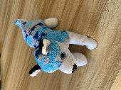 I found a blue camouflage striped dog or wolf on Nov 1, 2023 right after the Hal