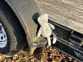 My son's favorite teddy bear fell out of my jacket while going to the library wh