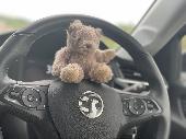 Lost a very treasured teddy between Bryant park and the public library! We would
