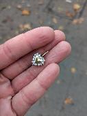 I lost a gold heart shaped earring with a clear stone around the heart. The sent