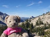 Please help our teddy back to us. Has been around the world with the family and 