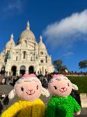 Hello. I lost two cute little toys of lambie. They’re of extremely importance to