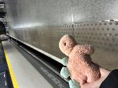 The teddy is an orange dinosaur with green spikes. He would be outside the five
