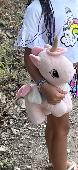 Please help me! My daughter lost a very importante pink winged unicorn. We stay