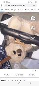 Beige cream teddy with gold ribbon 