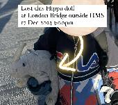 We lost a soft Hippo doll along the london bridge, where many food trucks were l