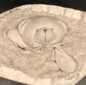 Little grey teddy bear blanket.
