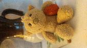 I found a small bear in Cobb Gate car park in Lyme Regis. He was dirty and wet a