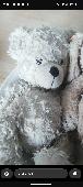 Scruffy, well loved, off-white (originally white) steiff teddy bear. Soft, with 
