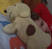  My daughter lost her much loved Spot the dog plush toy while on a family holida