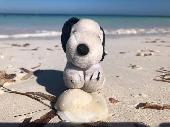 Small SNOOPY Teddy lost in dublin airport. 45 years old sentimental- miss him. 