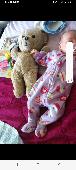 I accidentally left my teddy bear who I've had since I was born (35 years) on th