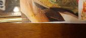 Lost gold bracelet with red stones. Sentimental valu. Reward offered. 