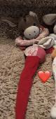 We lost our daughter’s dearest cuddling toy on the journey from Miami to Houston