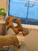 It's a reindeer that belongs to a little girl. She was sitting on the train with