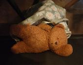We lost my 2 year old daughter's bear while on a visit to Legoland Discovery Cen