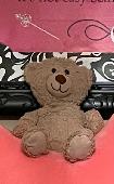 My daughter lost her beloved teddy bear. It’s a light brown bear wearing a black