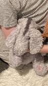 We lost eeyore, a beloved soft toy when visiting family in Oxford. It could have