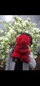 I lost my little rose teddy bear minus the heart on her chest, that's not there 