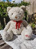 Bear lost from the roof of a car leaving Hopwood Park Services. He's had a bit o