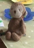 Hello, my three year old boy lost his little toy monkey on Tuesday either at the