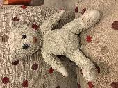My son’s adored teddy bear, wearing a little white jumper with a Christmas tree