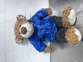 Barnaby Teddy bear found in a frozen bag, wearing a blue jacket. 
