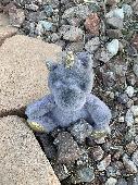 grey stuffed unicorn, eyes missing. first found in the crosswalk of elkorn and c