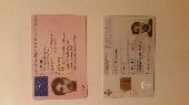 i lost my driving licence with my name rui miguel goncalves rodrigues from portu