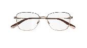 Was in the park last night I lost my square gold rimmed glasses