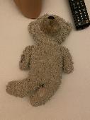 Hi, I know it was a while ago now, but I lost my teddy last year at the Bali air