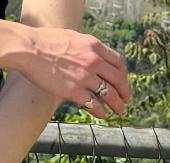 I lost my grandmothers signet ring. I was in the upper fields in Highbury Fields