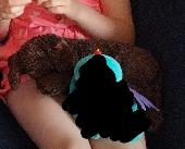Much loved brown toy dog lost in Room 570 at premier Inn Gatwick North. Dark bro