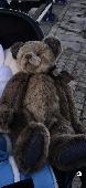 Beloved teddy lost in Queen Elizabeth gardens, possibly near play park. This is