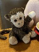 Desperately hoping can find this little guy who we lost on Sunday afternoon in d