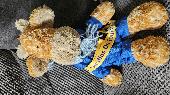 It seems our little Jofré Giraffe is lost forever in the royal mail system as he