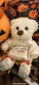 We lost our precious bear on the shopping floor of Marina Bay Sands. This bear i