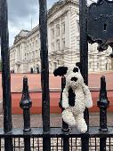 6 y/o daughter lost a precious Jelly Cat Dog called Patch between Buckingham Pal