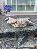 White rabbit teddy from Jelly Cat found on the pavement near the Mariners. Left 