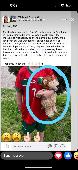 My Grandsons teddy, its a lion, think was left upstairs on a no. 33 bus going in