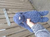 A little bunny I found on St Alban's road, Bootle, Liverpool, UK on 16th July. I