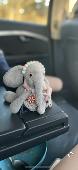 Please if you have found my elephant stuffy please get in touch with me. I eithe