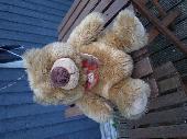 Found this lovely guy on the pavement near my car in an industrial area of Wolve