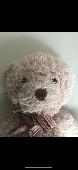 My daughter left her Teddy on a TUI flight from East Midlands to Heraklion today