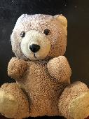 Small brown stuffed bear, see picture. Please help, it is a sort of family membe