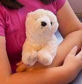 Lost Polar Bear Teddy My daughter thinks she left it on a bench at the Island Ga
